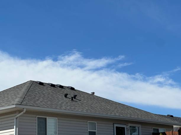Best Roof Insulation Installation  in Imperial, MO